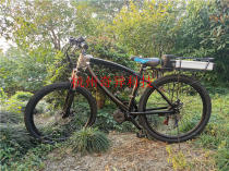 Mid-mounted motor-assisted induction bicycle variable speed LCD lithium battery power long-distance mountain bike pedal electric