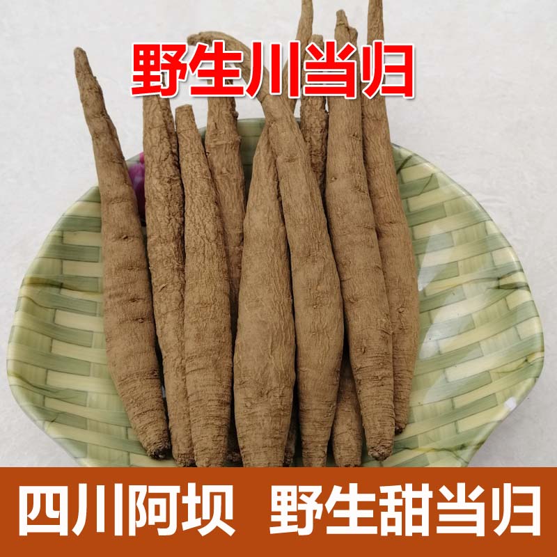 Sichuan Aba Sweet Angelica Wild Premium whole root non-tablet plateau Dugao Ancient Qin Chinese Herbal Medicine 500g