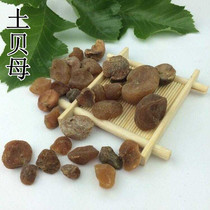 Tubeimoi tubberi large fritillary loose knot 500 gr tutillary powder