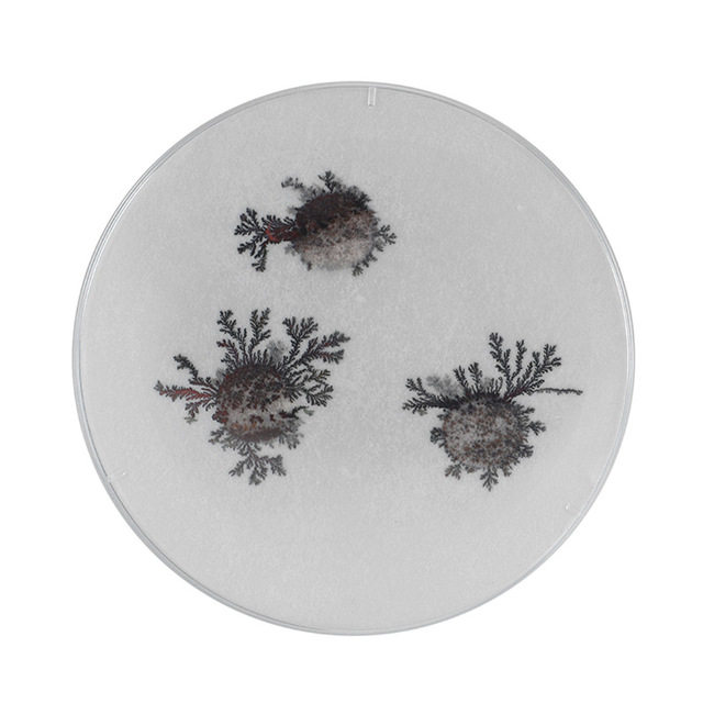 Homemade of Iron Tree Flowering Children Invented Creative Physics Experimental Toy Technology Small Materials