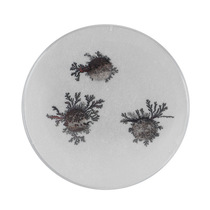 Homemade iron tree blooming childrens small invention creative physical science experimental toy technology small production diy material