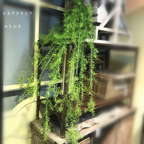 Mori green plant simulation Asparagus hanging vine hanging hanging decoration plant Home Hotel engineering soft decoration with rattan