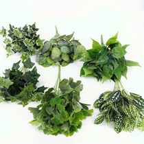 Simulation green planting hand feel green loaf leaf gingko reticulated leaf everspring leaf film plant wall flower groove to make view leaf
