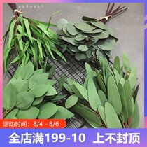 Nordic simple ins style high-end feel tied round eucalyptus leaves Willow leaves money leaves Wedding decoration home