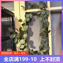 ins wind simulation Eucalyptus rattan round leaf wool pulp money leaf hanging rattan Wedding decoration vine Home winding leaf