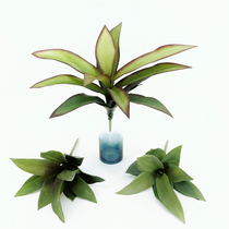 New simulation tropical desert plant dragon blood iron fake green plant Hotel engineering soft wall landscaping decoration ornaments