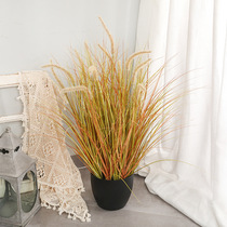 Simulation of dog tail grass potted window floor decoration display onion grass landscape Reed potted home decoration bonsai