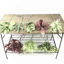 Simple Mori small plant mini flocking silver leaf chrysanthemum rabbit ear leaf antler fruit single branch Houttuynia cordata