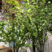 New simulation Japanese bell tree plant Horse Wood drunk fake tree indoor floor green plant potted window decoration ornaments