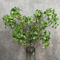 Simulation of single hand feel leaf Banyan tree branch high-end green plant flower arrangement decorative plant landscaping to make tree false leaves