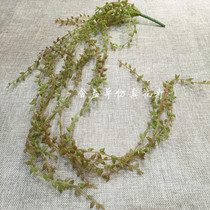 Simulation multi-meat plant hanging lover tears Buddha pearl grain fake flower sensuary decoration field with green planting fruit wholesale