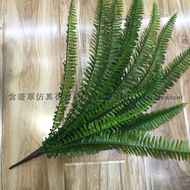 Mô phỏng dương xỉ Cỏ Ba Tư cỏ dương xỉ hàng cỏ cây tường vật liệu núi mái hiên cắm hoa trang trí cỏ núi - Hoa nhân tạo / Cây / Trái cây hoa ly giả