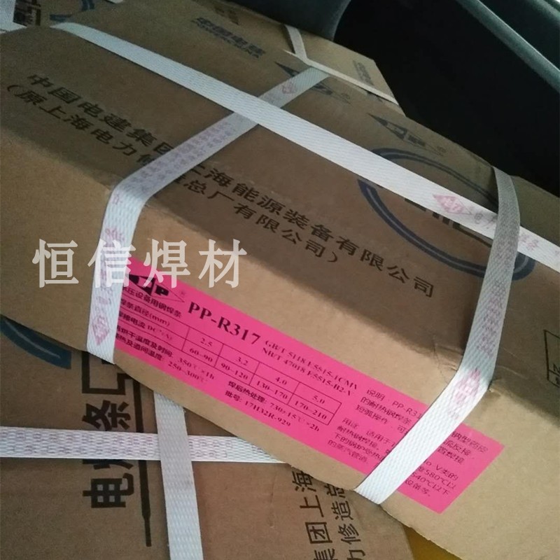 Shanghai Electric Power PP-R102 R107 heat-resistant steel welding rod 15MoG welding rod