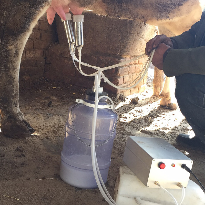 Dairy Cow Breast Pump Miller Miller Sheen With Miller's Cow With Small Household Electric Suction Goat Miller Miller Miller
