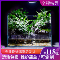 Jijingjia land and water tank Landscape package Ultra-white fish tank Ecological tank Amphibious turtle tank Micro-landscape plant rainforest tank