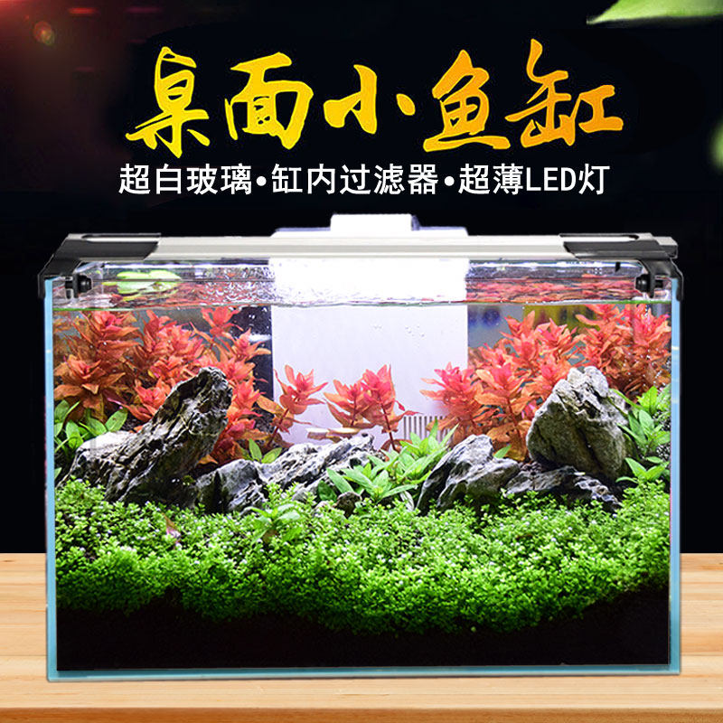 Gijing Jiultra white glass fish tank living room small ecological desktop fish tank water grass cylinder sloth free to change water home