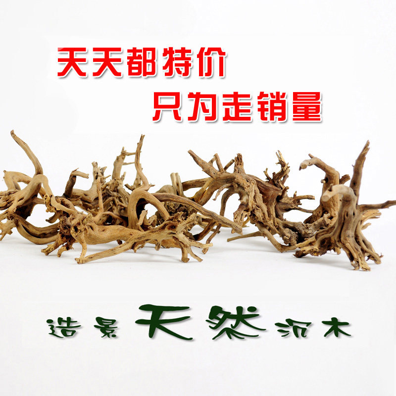 Five natural decorations small sunken wood-built view fish tank water ethnic grass cylinder microscape Moss tree cuckoo root boutique