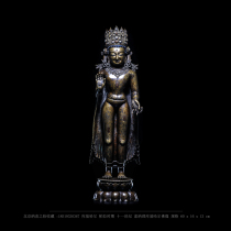 Naxi collection Tibet Lhasa antique collection 11th century auction house Pala period old Buddha statue Tibetan Buddhism