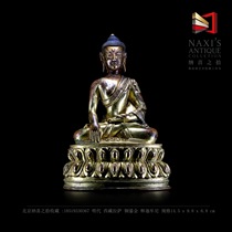 Naxis collection of Tibetan Buddhism Ming Dynasty Tibet Lhasa bronze gilt old Buddha statue bronze gilt Shakyamuni Buddha