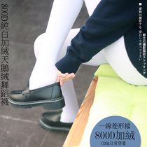 2 pieces of padded velvet 800D white black pantyhose velvet inner inner plus velvet winter warm pantyhose