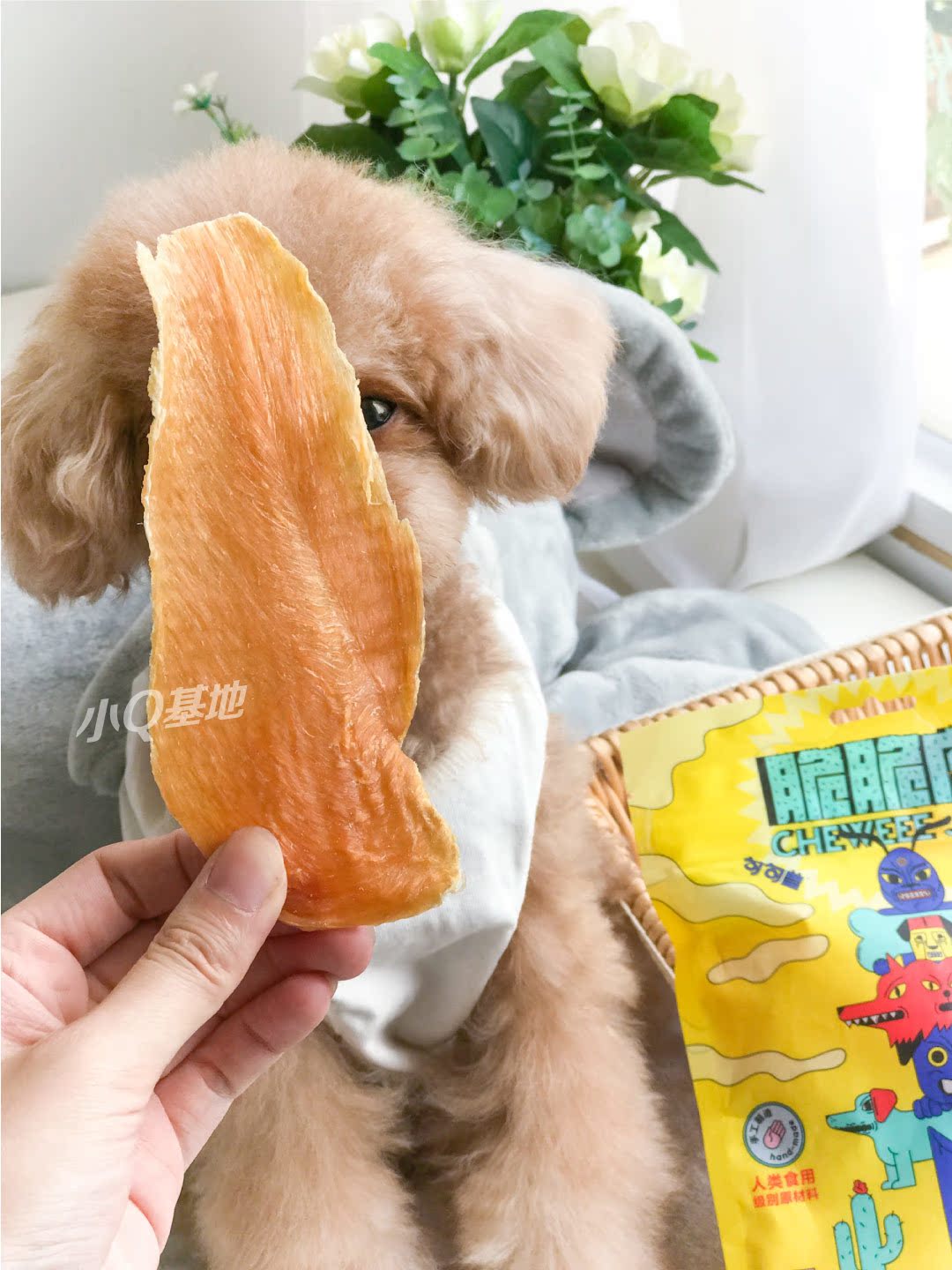 Câu, chó, chó, đồ ăn nhẹ, ức gà thơm và khô, tát, siêu khô, thịt nguyên chất, 100G, 3 miếng - Đồ ăn vặt cho chó pate chó