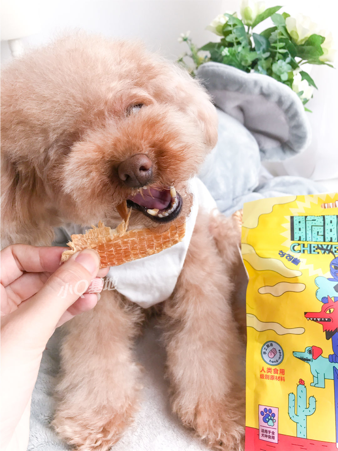 Câu, chó, chó, đồ ăn nhẹ, ức gà thơm và khô, tát, siêu khô, thịt nguyên chất, 100G, 3 miếng - Đồ ăn vặt cho chó pate chó
