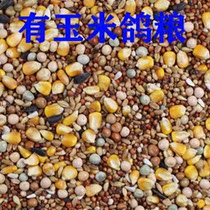  Pigeon food Corn-free pigeon food Nutritional feed Bird food Carrier pigeon ornamental pigeon meat Pigeon young pigeon adult pigeon food