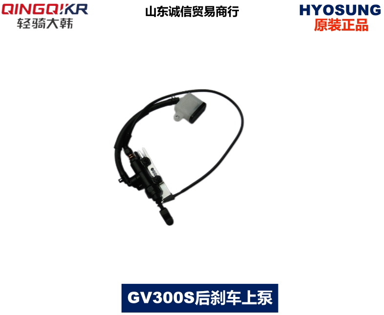 Jinan Light Riding Great Han Original Plant GV300S Rear Hydraulic Brake Upper Pump Assembly QM300 Brake Upper Pump Combination