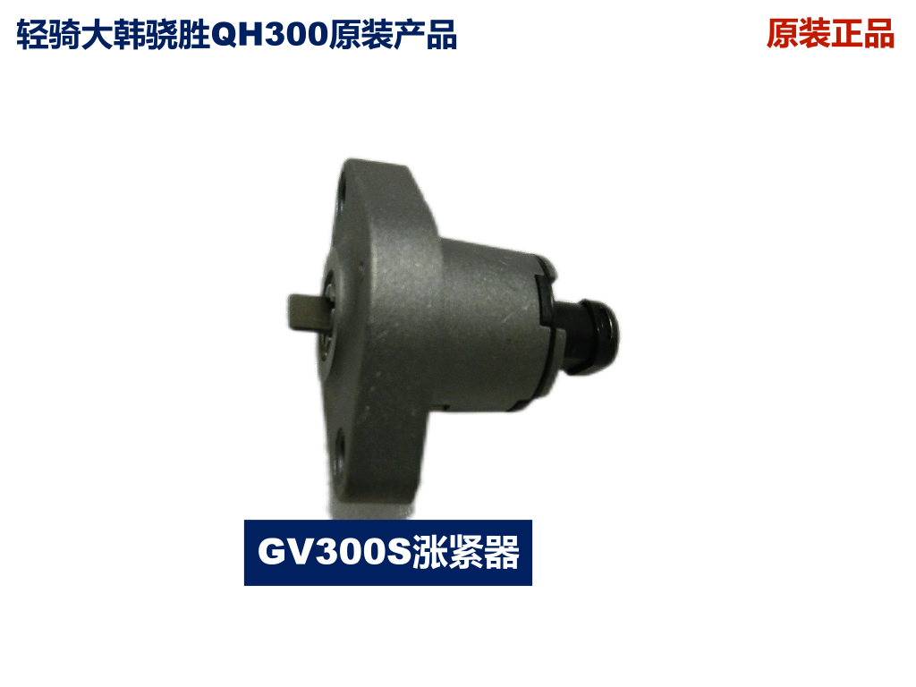 Qingqi Korean Hyosung GV300S Xiaosheng QH300 QM300 tensioner original factory original machine motorcycle accessories