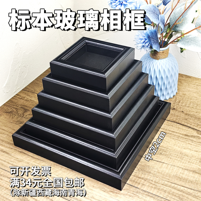 Pure Black Glass Hollow Photo Frame Mirror Insect Butterfly Specimen Plant Handmade DIY Material Square Frame Display Stand