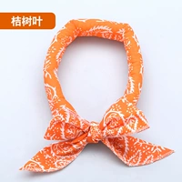 Оранжевый (домашние животные общие)