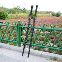 Тыква кнут двойной (одна пара)