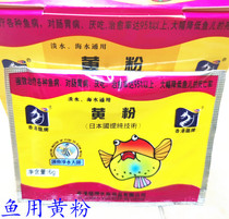 Hong Kong long brand yellow powder disease treatment of enteritis rotten body white spot ascites belching disease quarantine prevention of fish disease