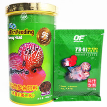 Qianhu Aoshen Luohan Fish Feed Shouxing Head Head Head Head Head Head Red Ruishen Red Red Red Red God Red Wealth God