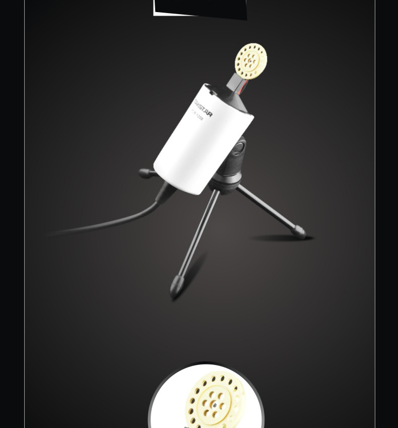 loa bluetooth hát karaoke Ghi âm micrô mạng Takstar / chiến thắng PCM-1200 mic khong day