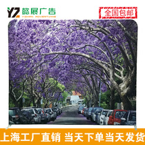 Fast show curtain straight live background Aluminum alloy shelf Sign-in wall Fast wood show conference background wall