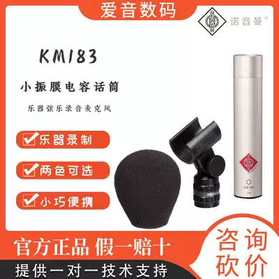 Neumann Noryin man KM183 single pair mounted stereo diaphragm condenser instrument microphone