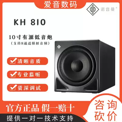 German NEUMANN Noryin Man KH 810 professional recording studio monitor bass monitor speaker subwoofer