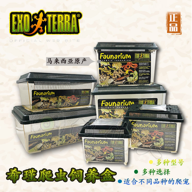 HAGEN Canada HAGEN reptile climbing pet feeding box Horned frog guarding the palace Spider snake turtle Acrylic feeding box