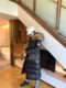 Thickened extra long goose down down jacket for women slim fit and warm 2025 winter new imported raccoon fur collar knee-length A-line
