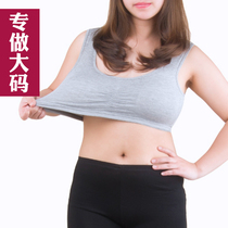 Large size sports bra shockproof female mother fat mm Modal full cup Vest underwear large cup Thin mold cup