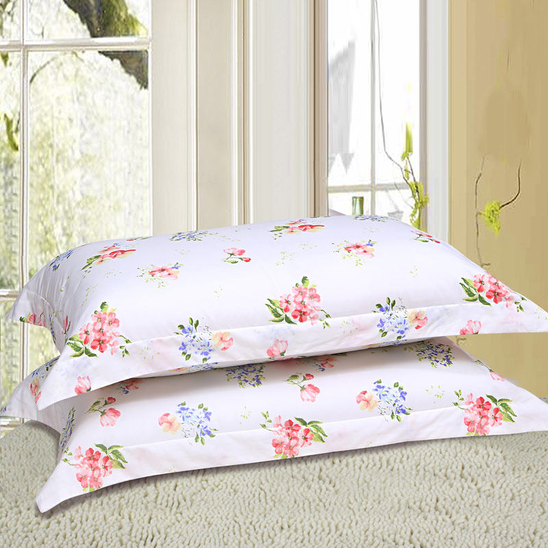 �����ȼҷ�ʥ֮����������841000546