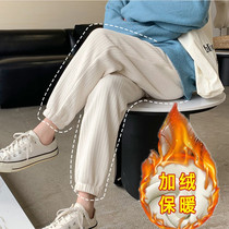Pregnant women pants autumn and winter wear chenille fashion casual wide leg pants loose spring and autumn wear winter