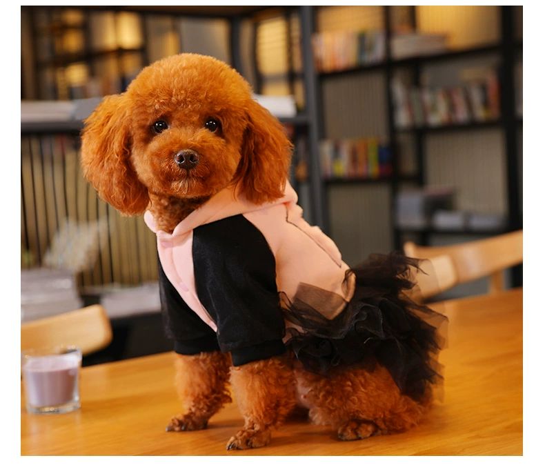 Pet dog váy xinh xắn dễ thương VIP Bichon Bomeiji búp bê kiểu chó con mùa thu và mùa đông trang phục chó - Quần áo & phụ kiện thú cưng