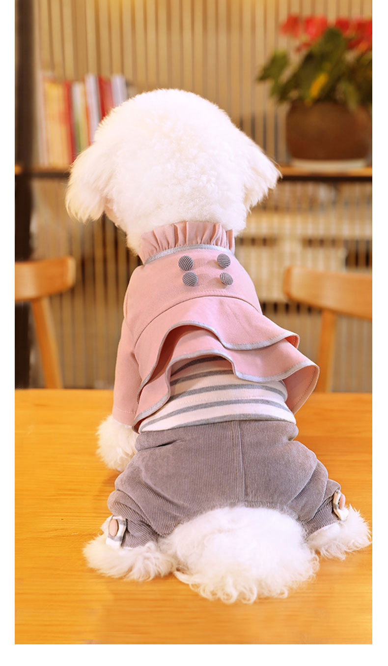 Quần áo cho chó cưng Golden Retriever Bear Xiong Bomei Deer Dog VIP quần áo mùa thu và mùa đông nhỏ vừa và quần áo bốn chân dễ thương - Quần áo & phụ kiện thú cưng 	áo dành cho mèo con	