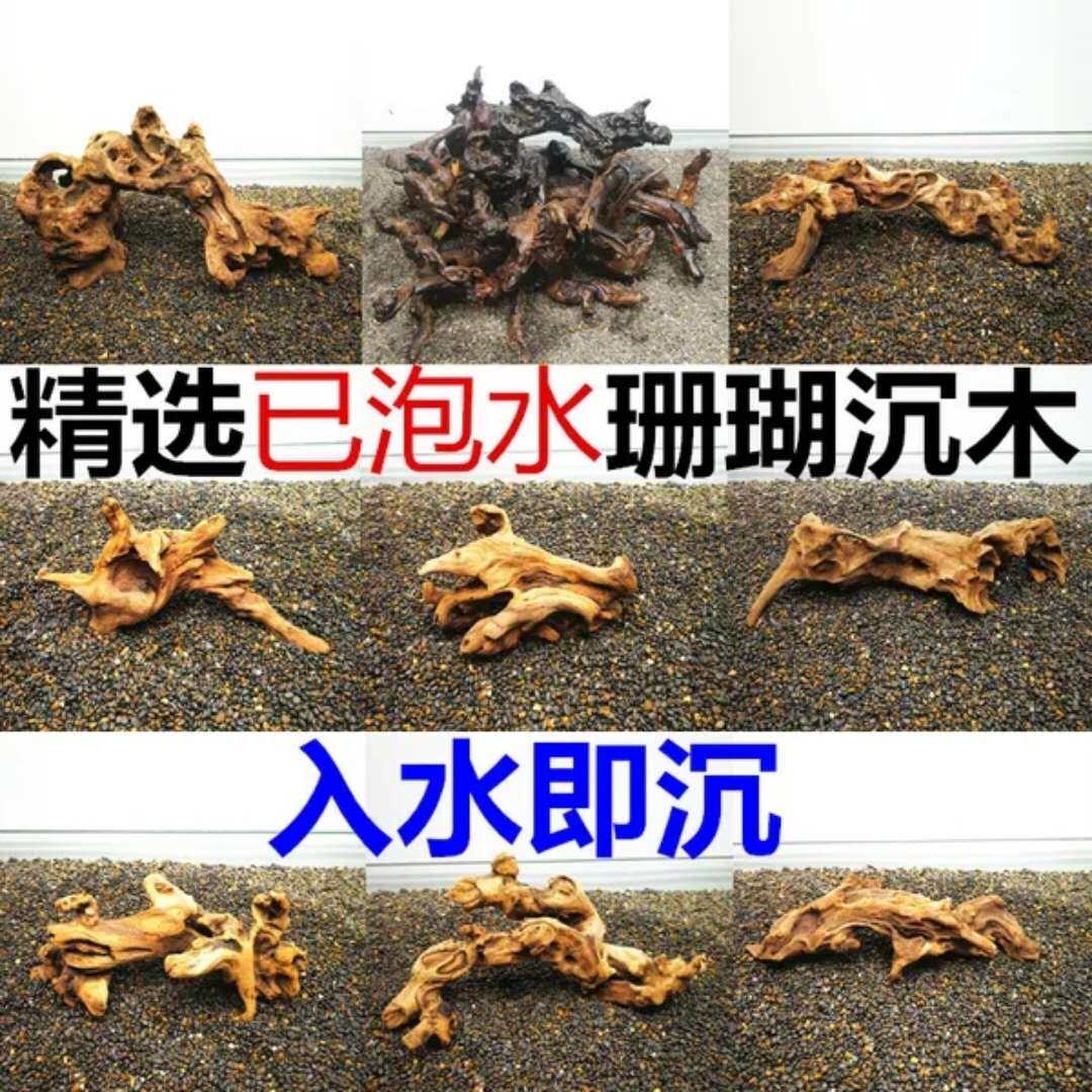 Fish tank building with natural sinkhole Coral Tree Root Eco-Cylinder Aquarium Building with Tied Waterweed Moss Slumwood