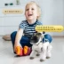 Cảm ứng biểu hiện điều khiển từ xa thông minh mô phỏng điện puppy robot đối thoại talking dog con cậu bé đồ chơi