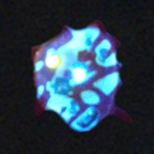 Sticker pour téléphone portable - Ref 1368227 Image 33