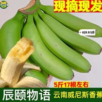 Chenyi object green skin banana naturally cooked Yunnan Venice banana 5 pounds of fresh fruit without soaking medicine