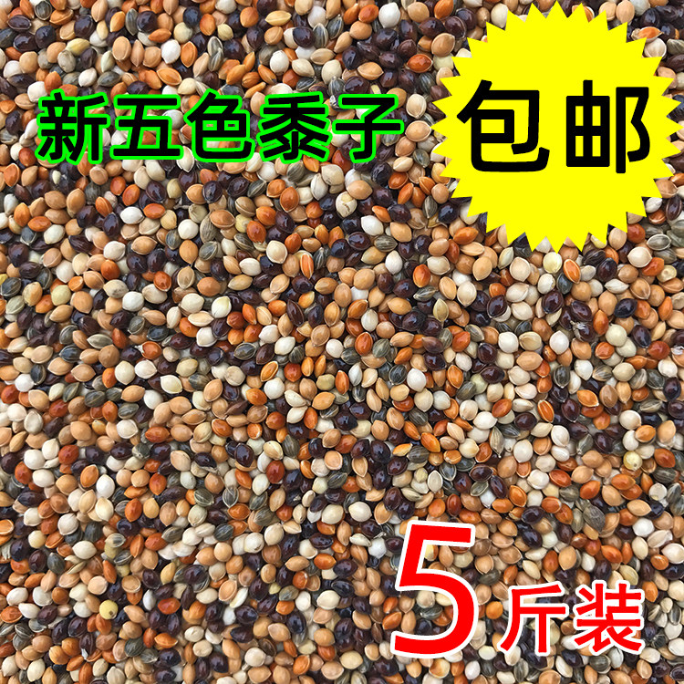 Tiger skin peony Xuanfeng Small and medium-sized parrot bird food feed five-color millet parrot mixed grain millet 5 pounds